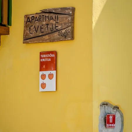 Cvetje * Tolmin