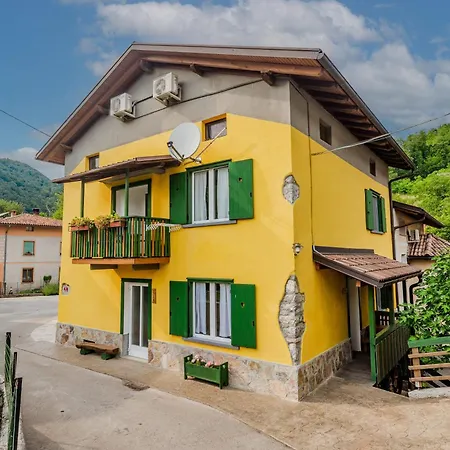 Cvetje * Tolmin